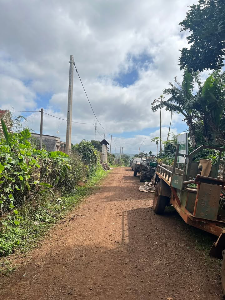 Đất nền Cư Dliê M'nông 600m² giá 169 triệu - Sổ hồng chính chủ!