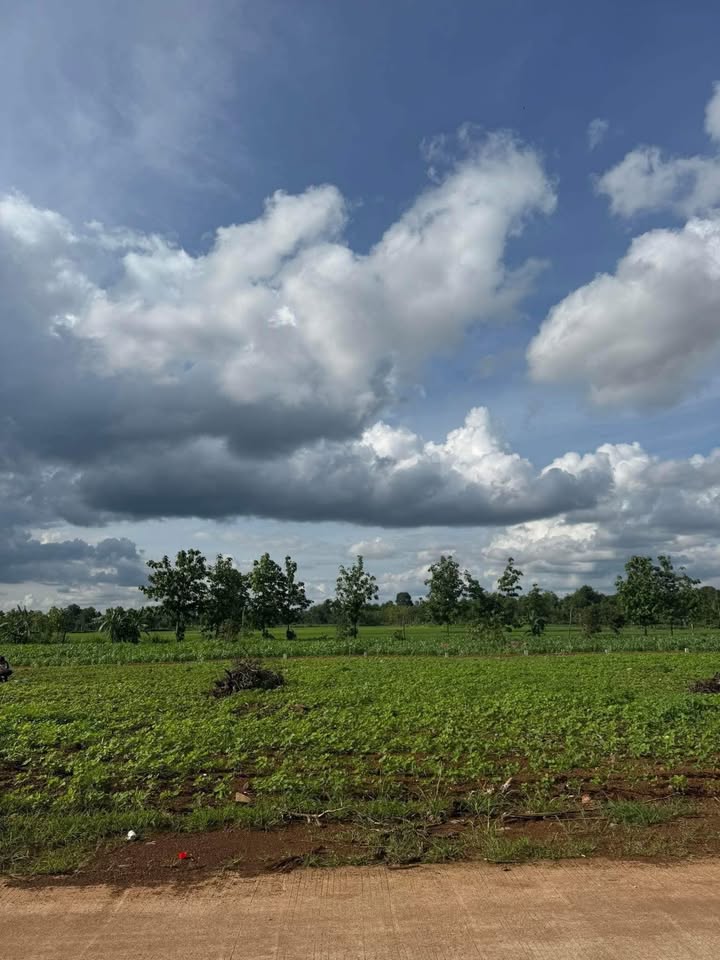 Đất thổ cư Quảng Hiệp Cư M'gar 180m² giá 299 triệu - Cơ hội đầu tư hấp dẫn!