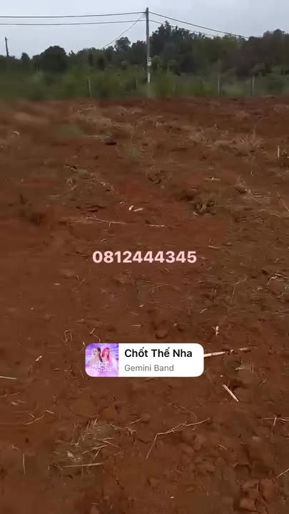 Đất nền Cư M'gar, Ea Kiết 13.000m² giá 190 triệu - Đầu tư sinh lời lý tưởng!