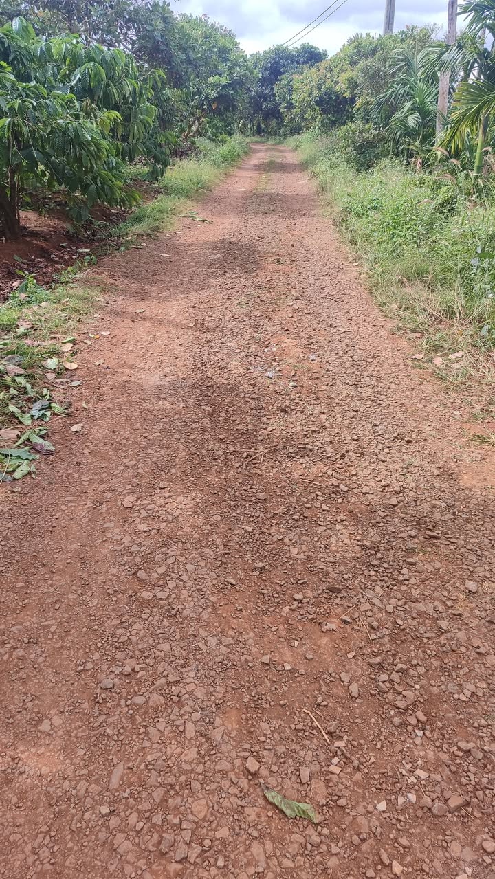 Đất nền Ea Kiết Cư M'gar 13.000m² giá 2.43 tỷ - Cơ hội đầu tư hấp dẫn!