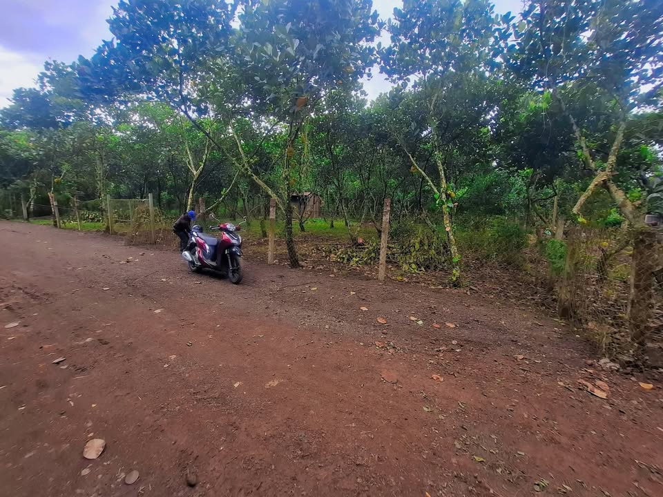 Đất nền Bảo Vinh, Long Khánh 500m² giá 1.1 tỷ - Sổ riêng, đường nhựa thông thoáng!