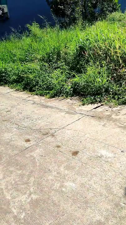 Đất nền Bình Lộc Long Khánh 125m² giá 1.15 tỷ - Sổ đỏ chính chủ