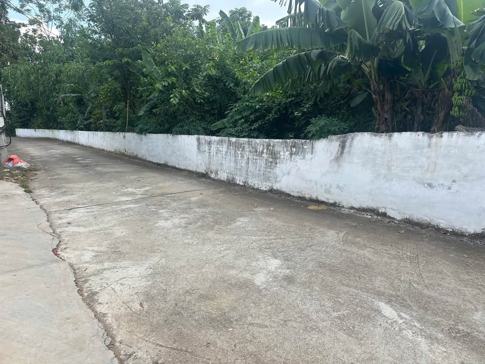 Đất thổ cư 100m² tại thôn Mới, Thanh Vân - Giá chỉ 1.1 tỷ, ô tô tránh nhau!