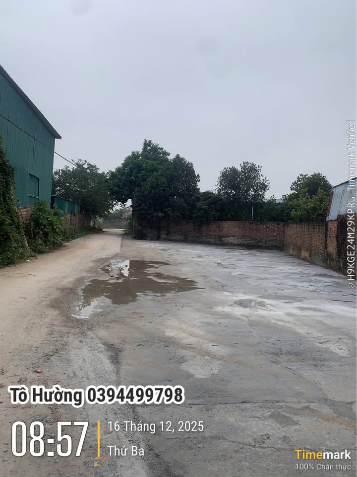 Đất thổ cư Đại Yên, Chương Mỹ, Hà Nội 230m² - Đường rộng ô tô vào tận nơi!