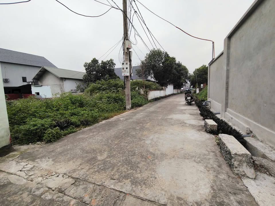 Đất chính chủ Thanh Vân, Tam Dương 100m² giá 1.2 tỷ - Đầu tư sinh lời ngay!