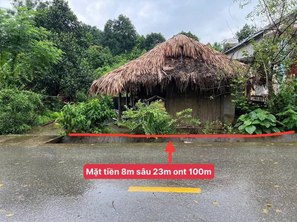 Đất mặt đường tỉnh lộ 321B Yên Lập 200m² giá 500 triệu - Cơ hội đầu tư hấp dẫn!