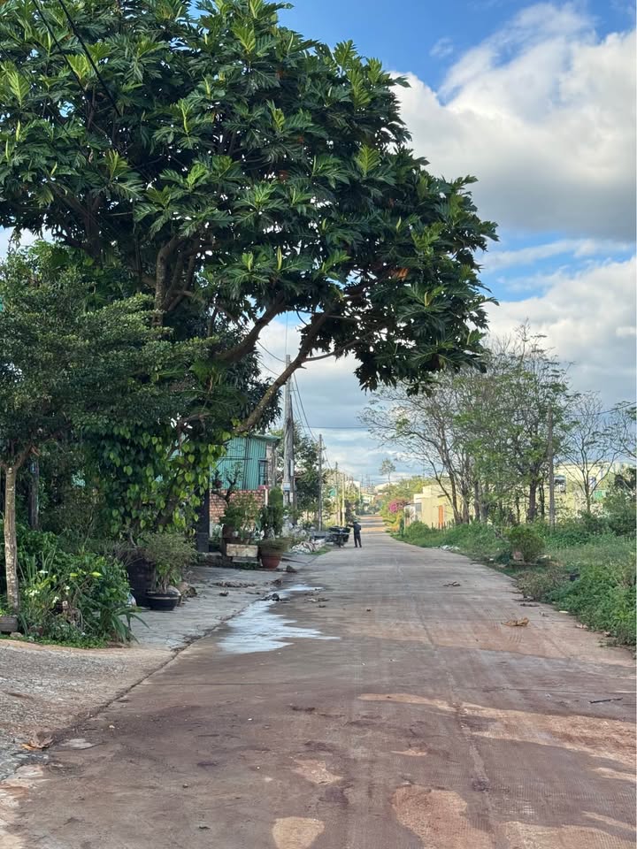 Đất thổ cư 800m² đường Hoàng Sa, phường Diên Hồng - Giá chỉ 2 tỷ!