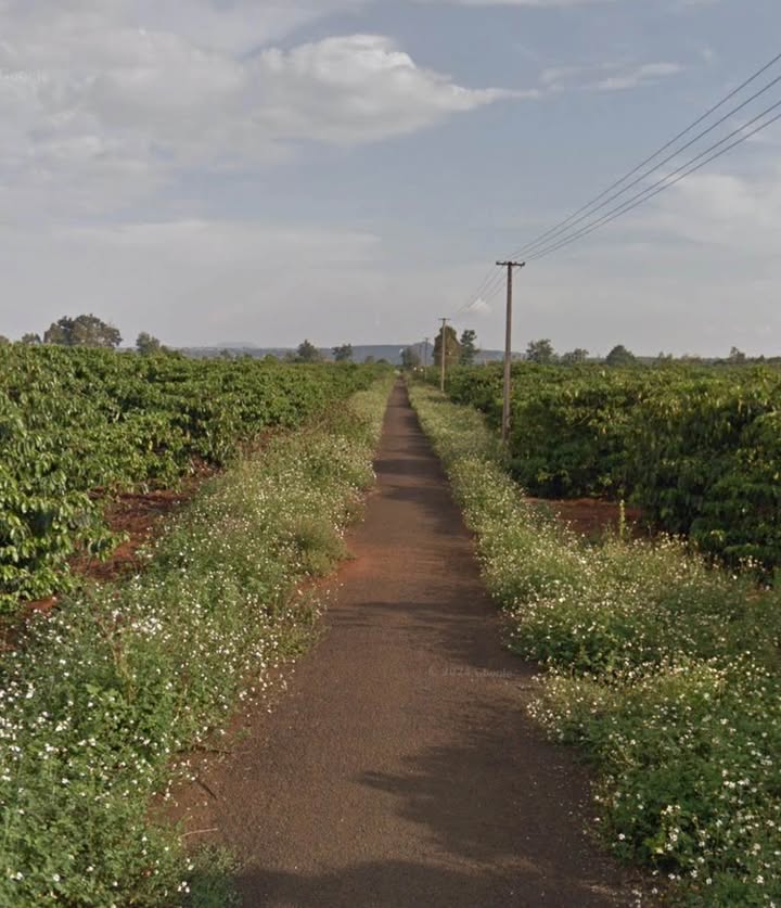 Đất nền Hẻm 91 Hà Huy Tập, Pleiku 300m² giá 900 triệu - Sổ hồng chính chủ!