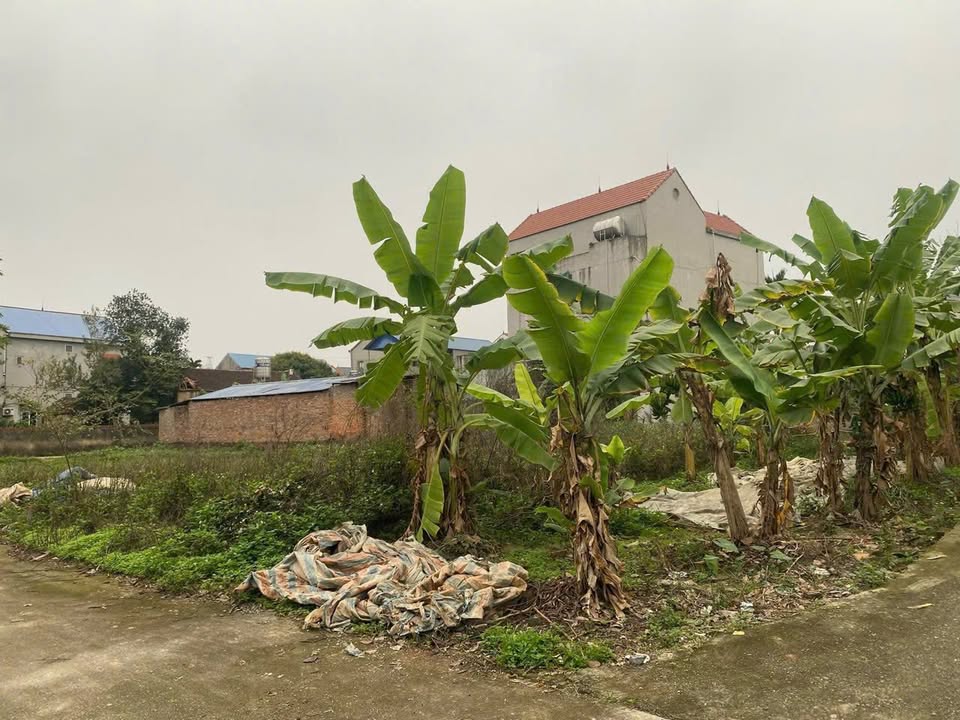 Đất thổ cư 104m² phường Trung Thành, Phổ Yên - Đầu tư sinh lời ngay!