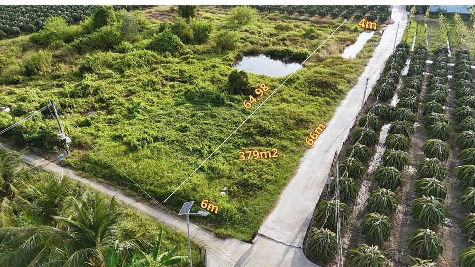 Đất nền Thanh Phú Long 378m² giá 250 triệu - Đầu tư sinh lời ngay!