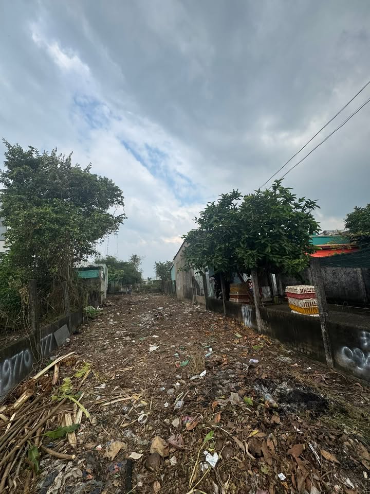 Đất thổ cư 263m² tại Bến Lức giá 2.35 tỷ - Xây dựng tự do, sổ đỏ chính chủ!