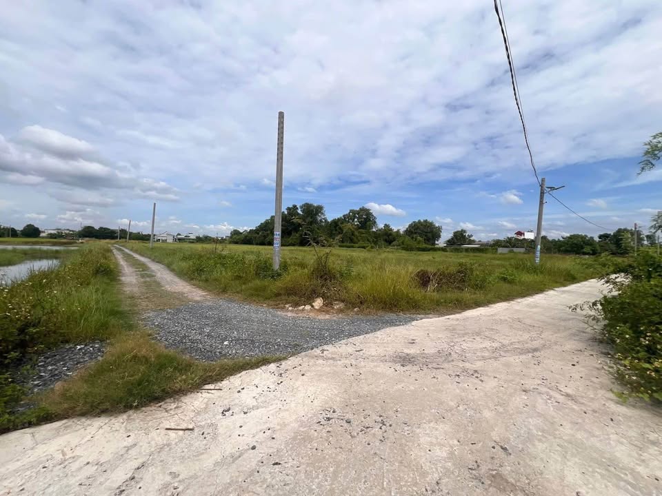 Đất nền đường Bình Tiền 2, Đức Hòa, 285m² - Giá tốt thương lượng nhẹ!