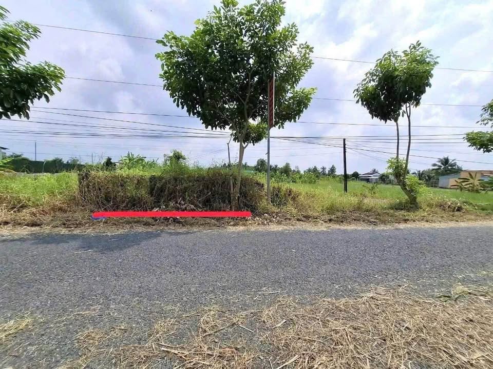 Đất thổ cư mặt tiền đường Lê Thị Trâm, Tân An, Long An - Diện tích 200m², giá 950 triệu - Cơ hội đầu tư hấp dẫn!