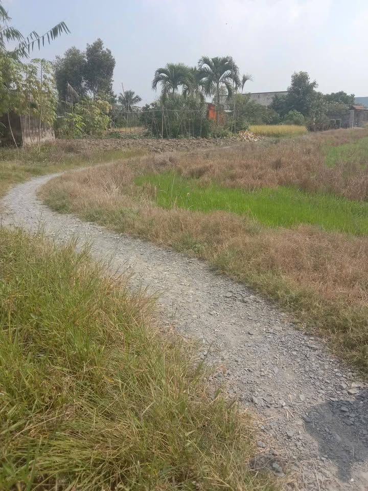 Nhà đất Bến Lức Long An 420m² giá 850 triệu - Thương lượng thoải mái!