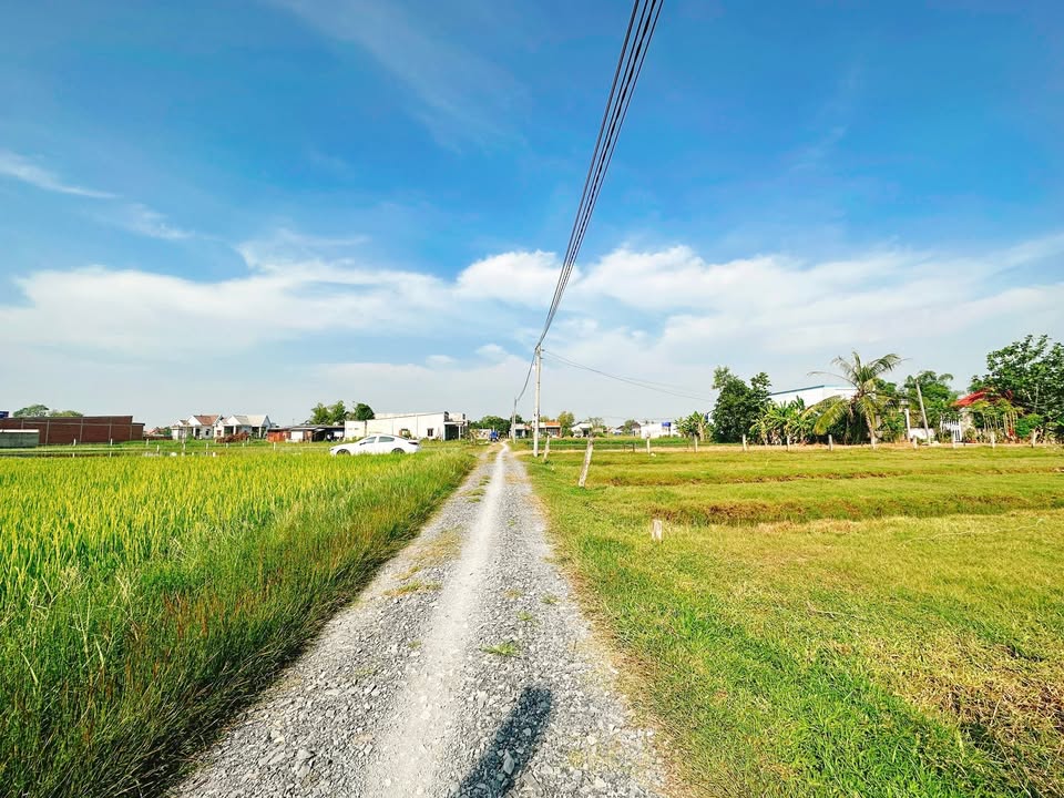 Đất thổ cư 684m² tại Ấp Bình Lợi, Đức Hoà, Long An - Giá chỉ 2.4 tỷ!