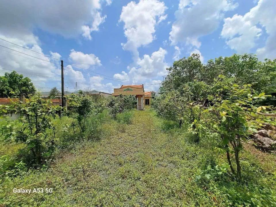 Đất thổ cư Bến Lức 1047m² giá 15.5 tỷ - Mặt tiền QL1A, thương lượng hấp dẫn!