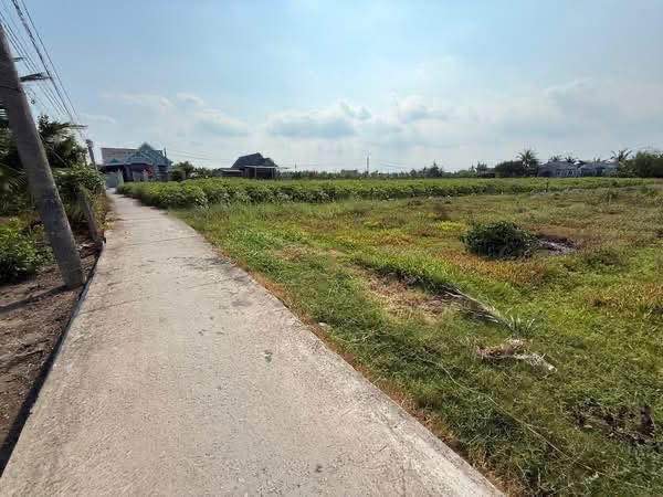 Đất lúa 1000m² tại xã Vĩnh Công, Tây Ninh - Sổ hồng chính chủ, giá 740 triệu!