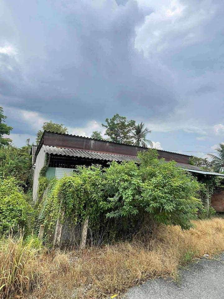 Đất nền Nhơn Thạnh Trung, Tân An 413m² giá 1.3 tỷ - Sổ đỏ công chứng ngay!