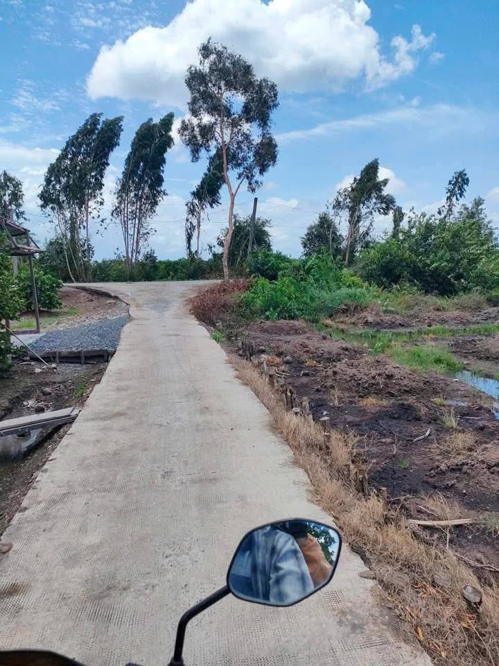 Đất vườn 3806m² xã Lương Hòa, Bến Lức - Giá chỉ 3.2 tỷ, sẵn sàng xây dựng!