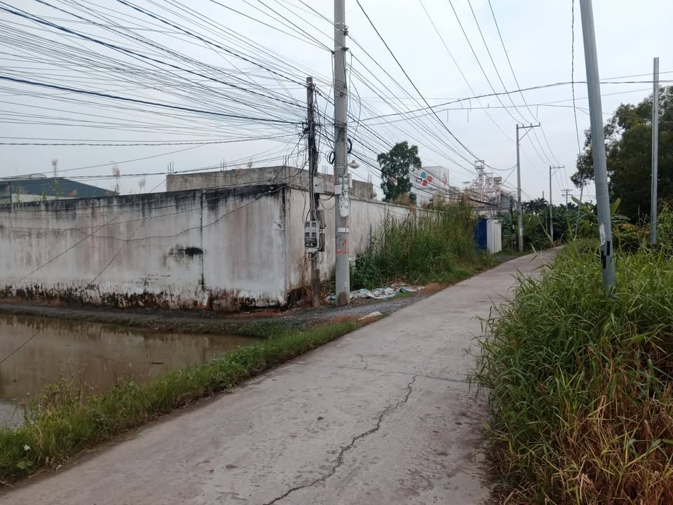 Đất nền thổ cư Mỹ Yên, Bến Lức 2.300m² giá 18,5 tỷ - Đầu tư sinh lời ngay!