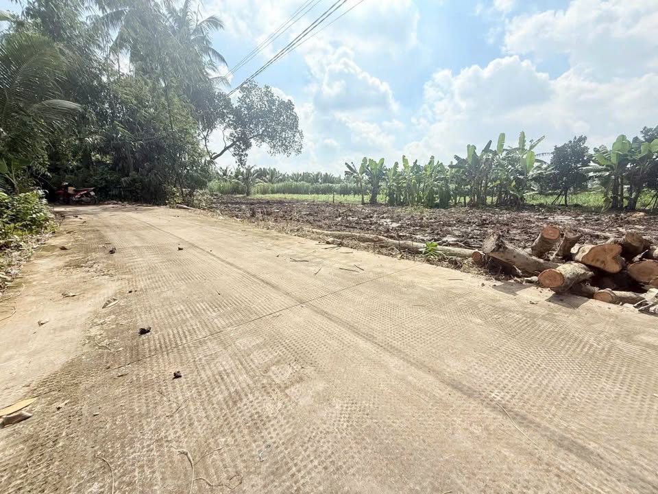 Đất vườn 2000m² xã Vĩnh Công, Tây Ninh - Giá chỉ 1.75 tỷ, đầu tư sinh lời!