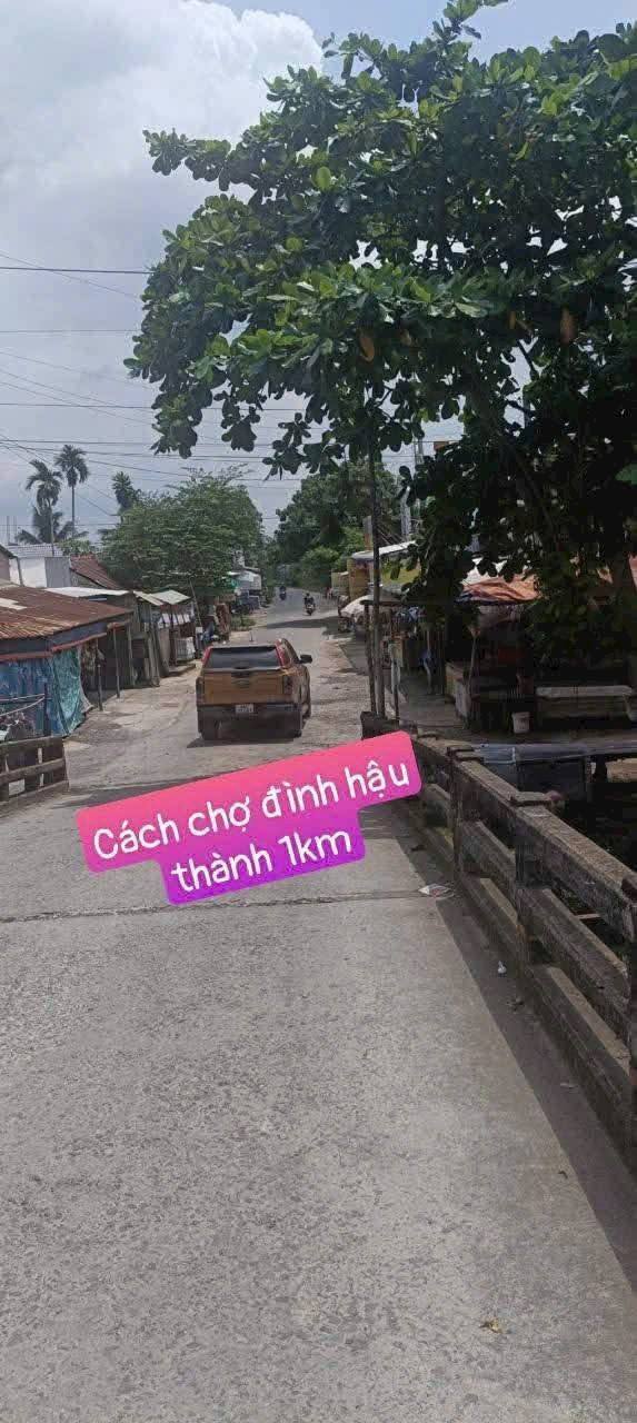 Đất nền Long Hồ Cần Đước 145m² giá chỉ 280 triệu - Cơ hội đầu tư tuyệt vời!