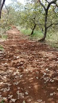 Đất nền 1800m² tại Thôn 5 Nghĩa Trung giá chỉ 550 triệu - Cơ hội đầu tư hấp dẫn!