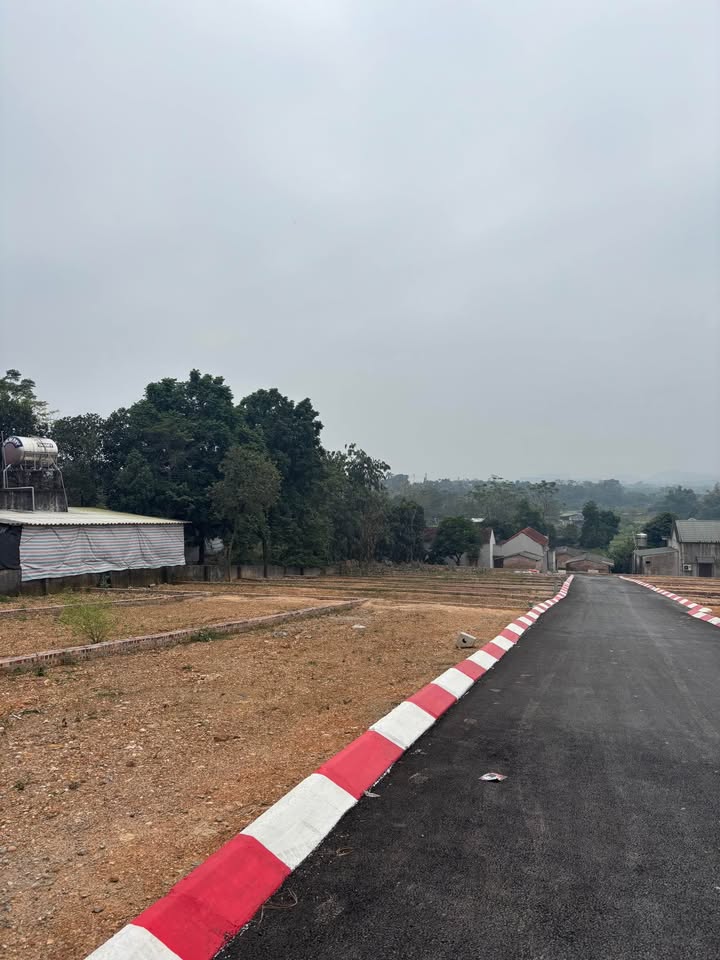 Đất nền Cẩm Lĩnh Ba Vì 100m² - Sở hữu ngay vị trí đắc địa!