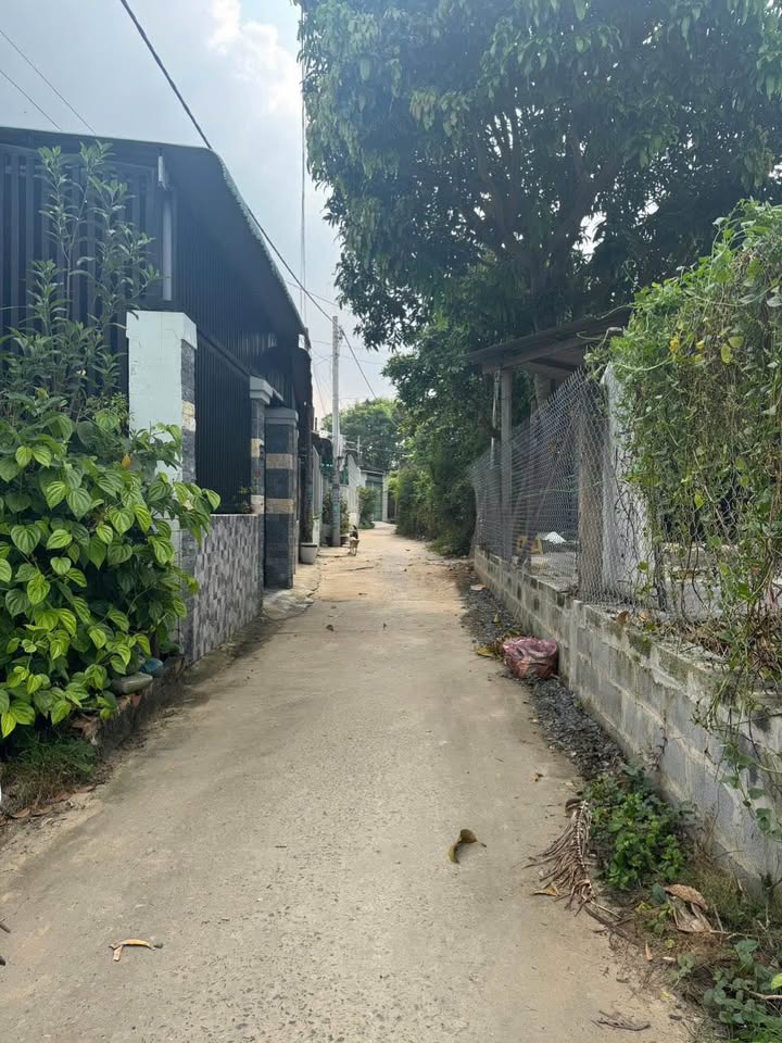 Đất nền 107m² Phong Nẫm, Phan Thiết giá 850 triệu - Đầu tư sinh lời ngay!