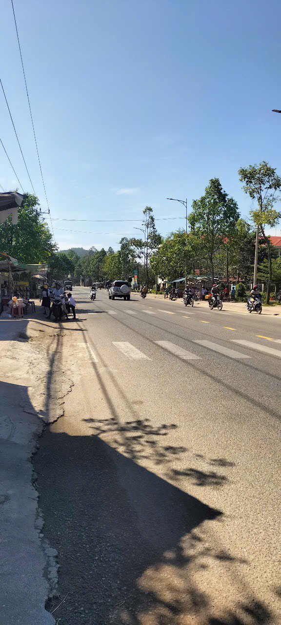 Nhà cấp 4 mặt tiền đường Trần Hưng Đạo, Tánh Linh, 110m² giá 1.62 tỷ - Kinh doanh thuận lợi!