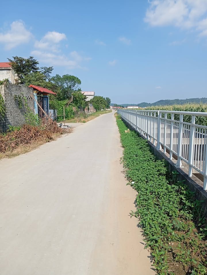 Đất đấu giá Vĩnh Quang Vĩnh Lộc 200m² giá 500 triệu - Cơ hội đầu tư hấp dẫn!