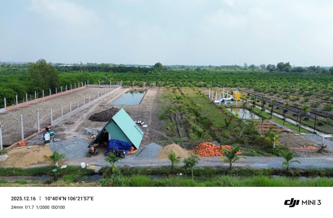 Đất nền 1000m² Tân Thành, Thủ Thừa, Long An - Giá 580 triệu, sổ đỏ chính chủ!