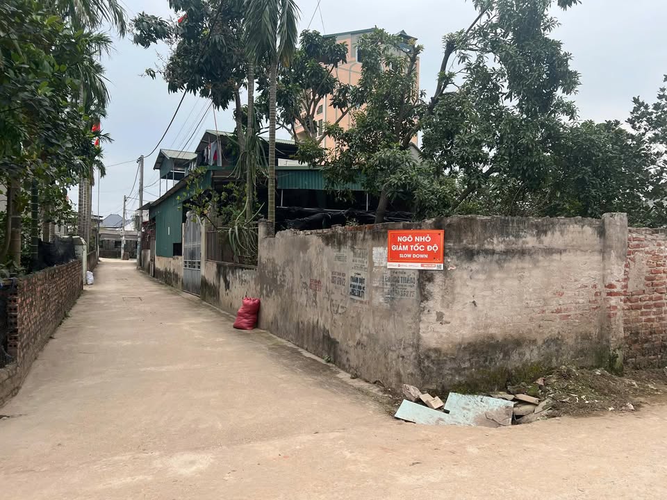 Đất thổ cư Đan Kim, Liên Nghĩa 69m² giá chỉ 4x triệu - Cơ hội đầu tư tốt!