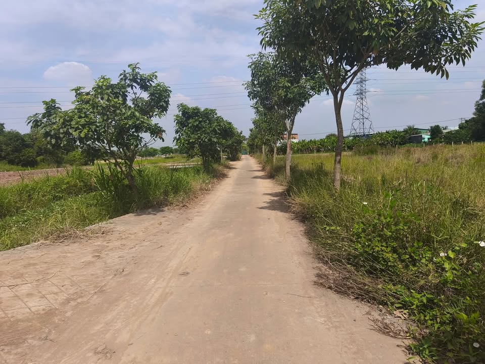 Đất nền Phường Long An 288m² giá 1.5 tỷ - Cơ hội đầu tư tuyệt vời!