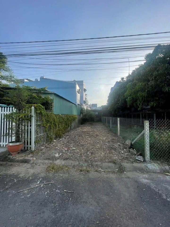 Đất nền Bình Khánh An Giang 78.5m² giá chỉ 1 tỷ - Đầu tư sinh lời hoàn hảo!