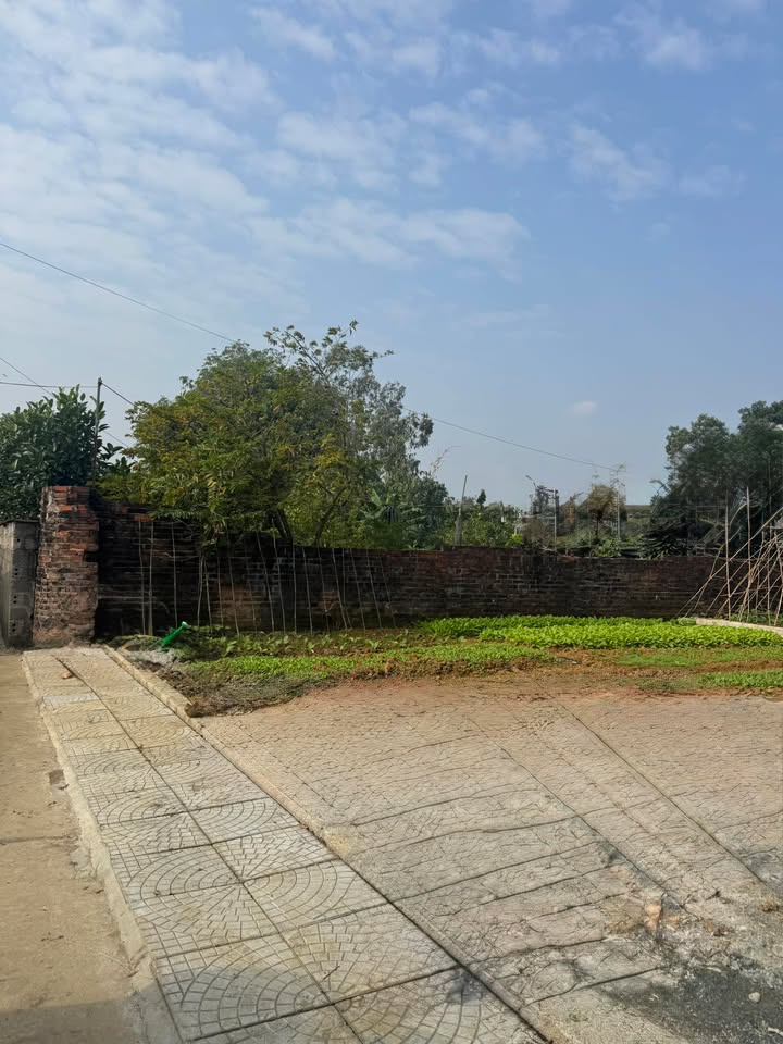 Đất nền Phú Cát Quốc Oai 100m² giá 2 tỷ - Cơ hội đầu tư tiềm năng