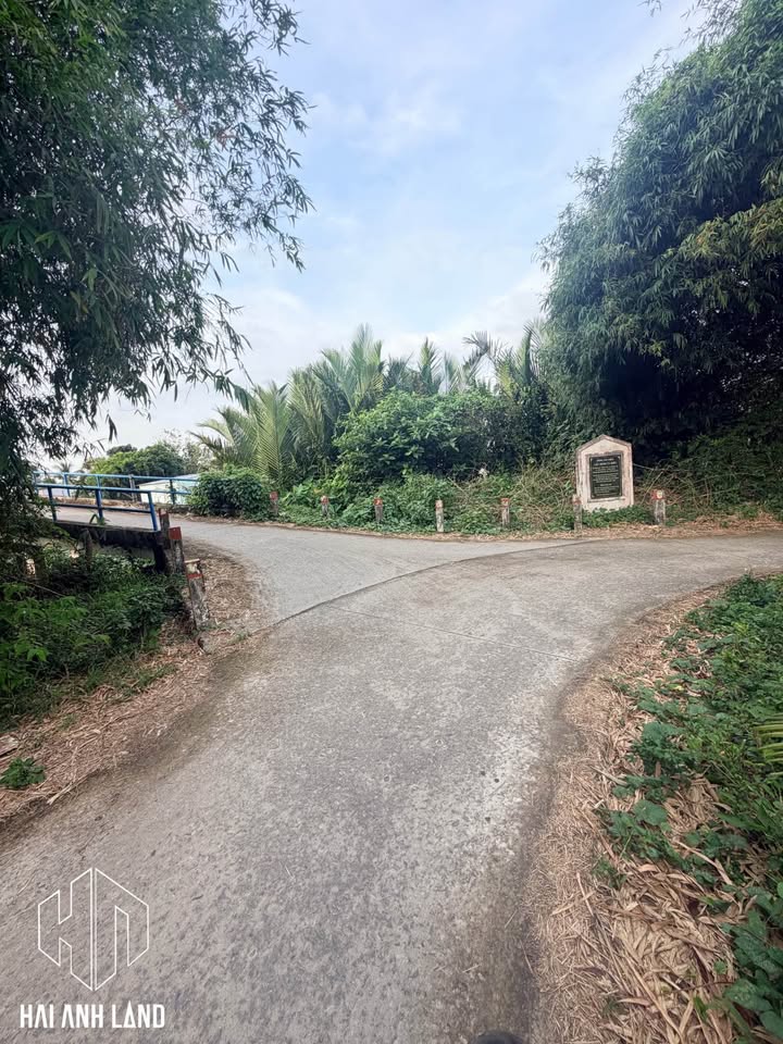 Đất nền mặt tiền kênh Tà Kiết, Thạnh Lộc 1199m² - Đầu tư lý tưởng cho nghỉ dưỡng!