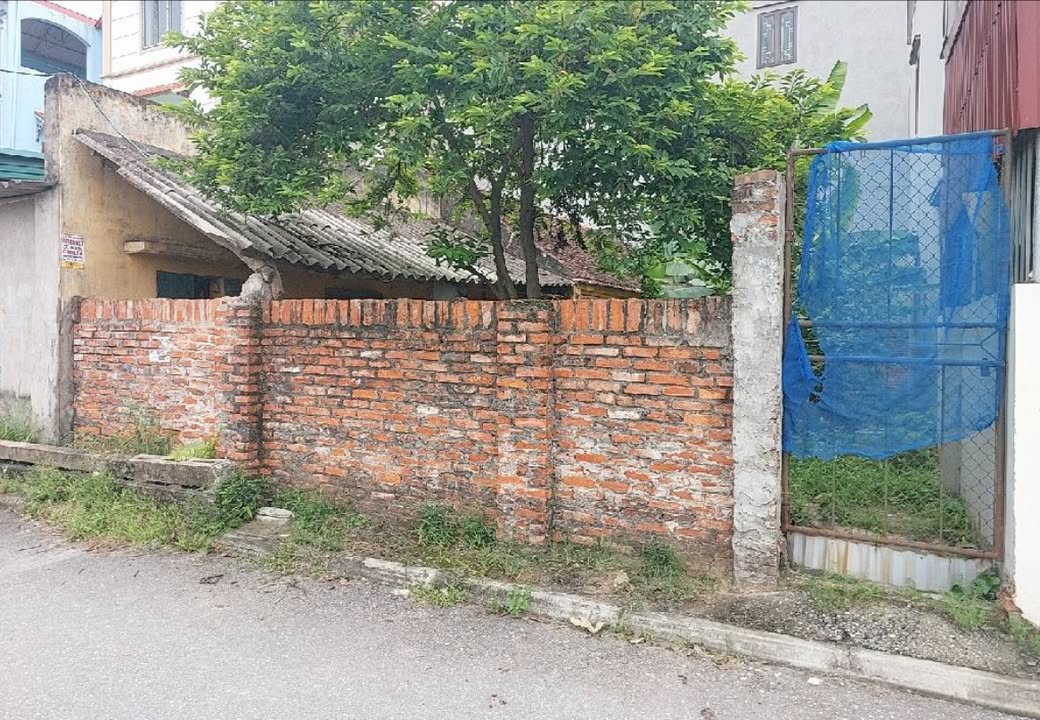 Đất Kiêu Kỵ, Gia Lâm 62m² giá 4.65 tỷ - Ô tô vào tận đất, cơ hội đầu tư hiếm có!