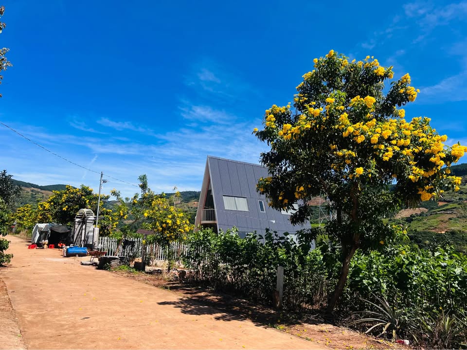 Đất nền Nam Ban Lâm Hà 267m² giá 850 triệu - Sổ hồng chính chủ, đất thổ cư 100%!