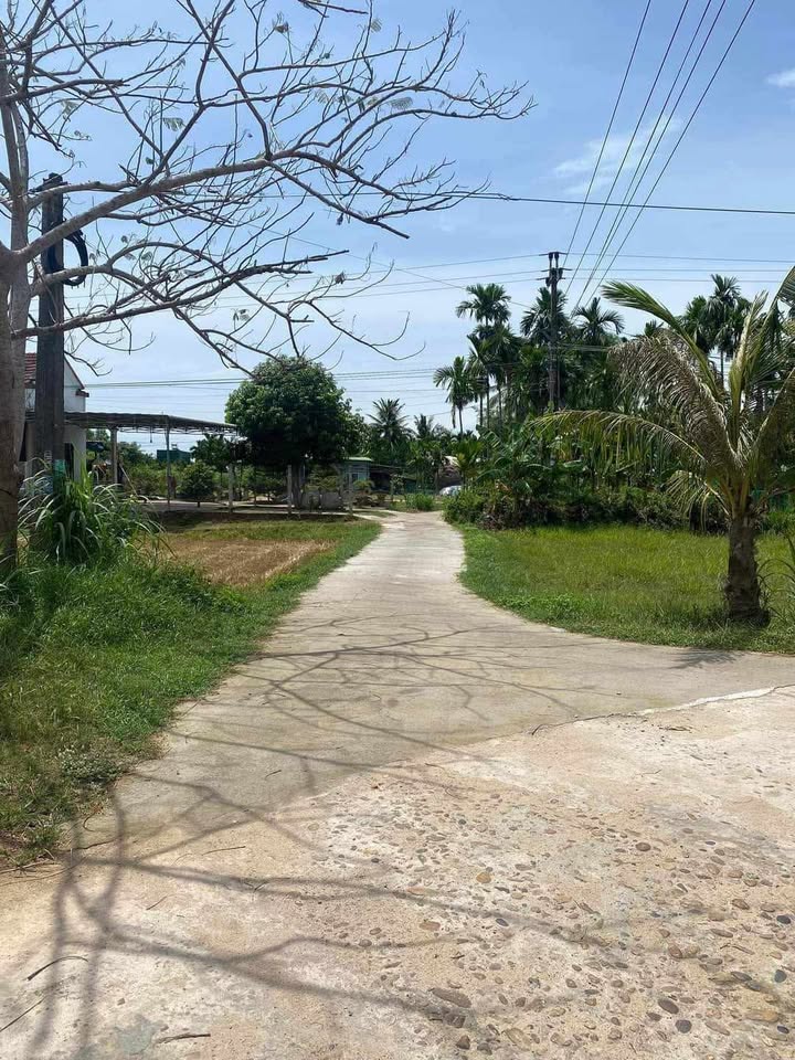 Đất ở Hành Trung, Nghĩa Hành 105m² giá chỉ 250 triệu - Cơ hội đầu tư tuyệt vời!