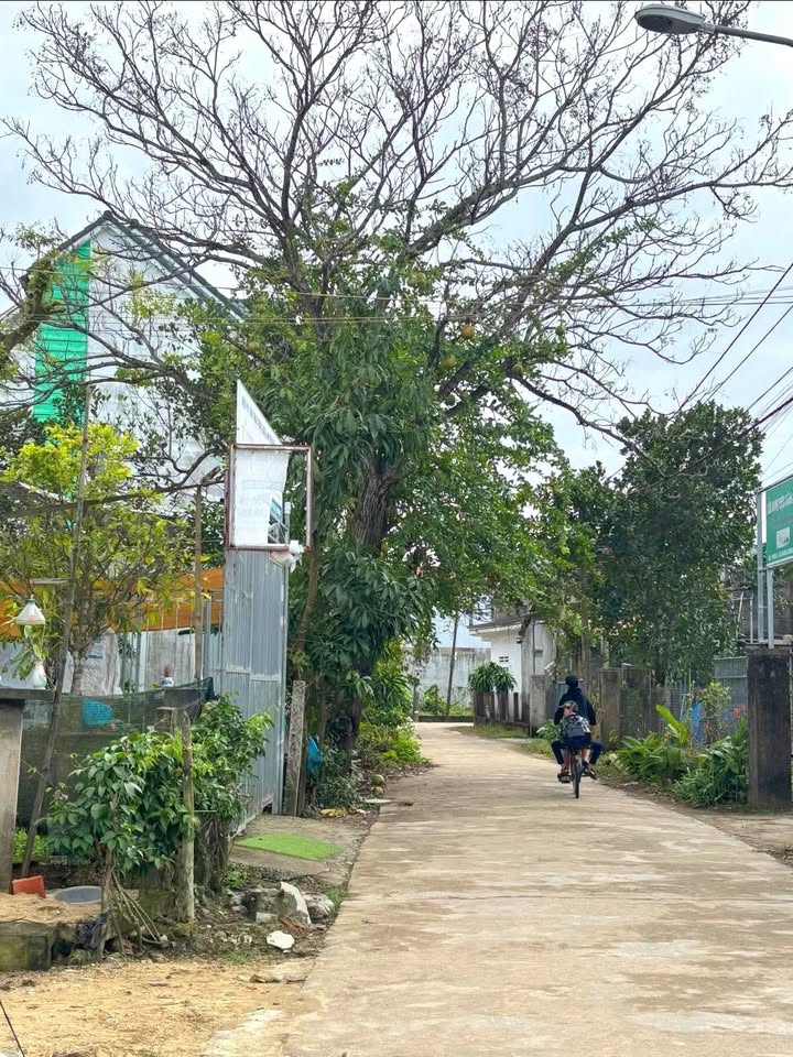 Đất nền An Phú Quảng Ngãi 120m² giá 600 triệu - Vị trí đắc địa gần trung tâm!