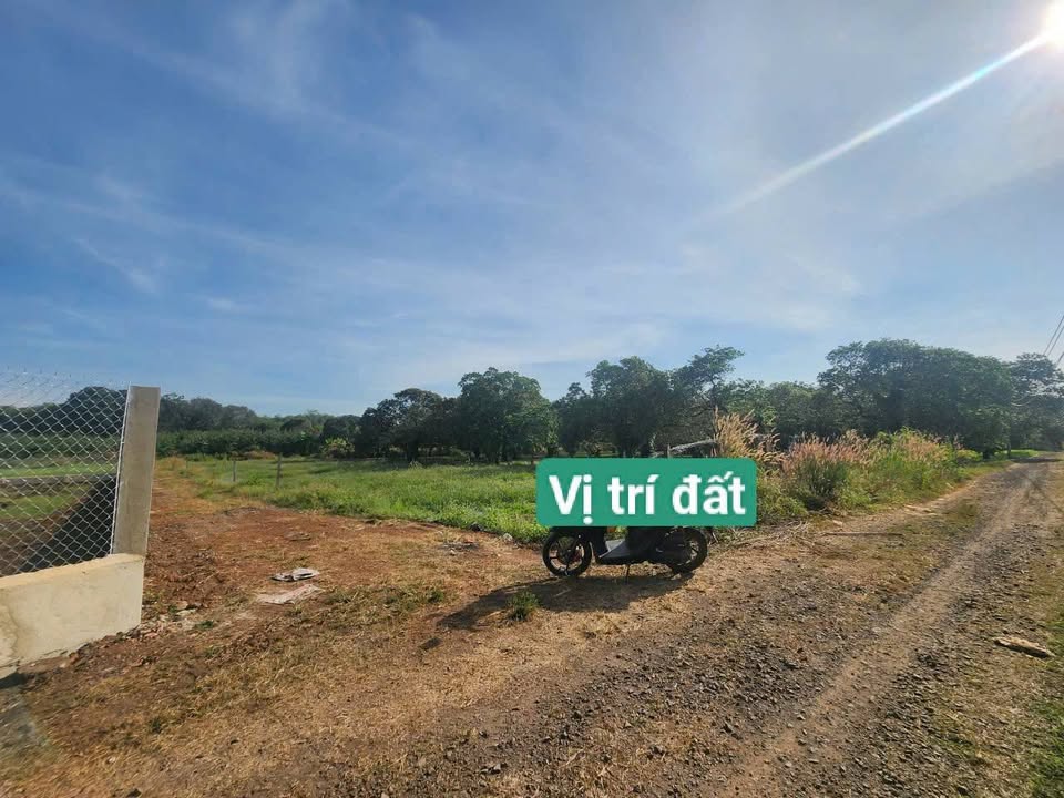 Đất nền 1000m² xã Đông Hoà, Trảng Bom - Sổ đỏ chính chủ, giá chỉ 1 tỷ!