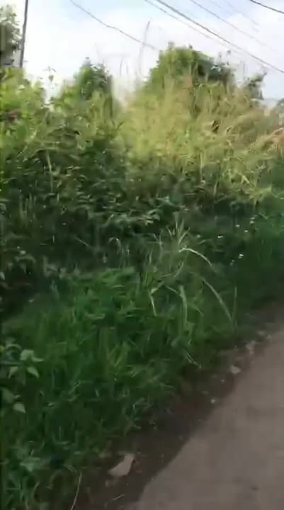 Đất thổ cư Xuân Tây, Cẩm Mỹ 10.000m² giá 1 tỷ - Cơ hội đầu tư tuyệt vời!