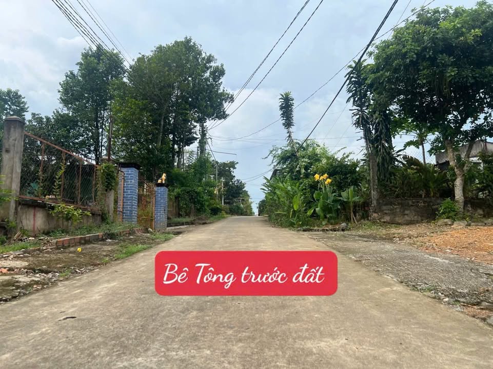 Đất thổ cư Phú Ngọc Định Quán 150m² giá 550 triệu - Vị trí đẹp, thuận tiện giao thông!