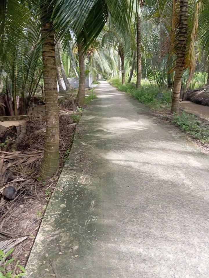 Đất mặt tiền hẻm xã Thuận Điền Giồng Trôm 4400m² giá 1.6 tỷ - Cơ hội đầu tư tuyệt vời!