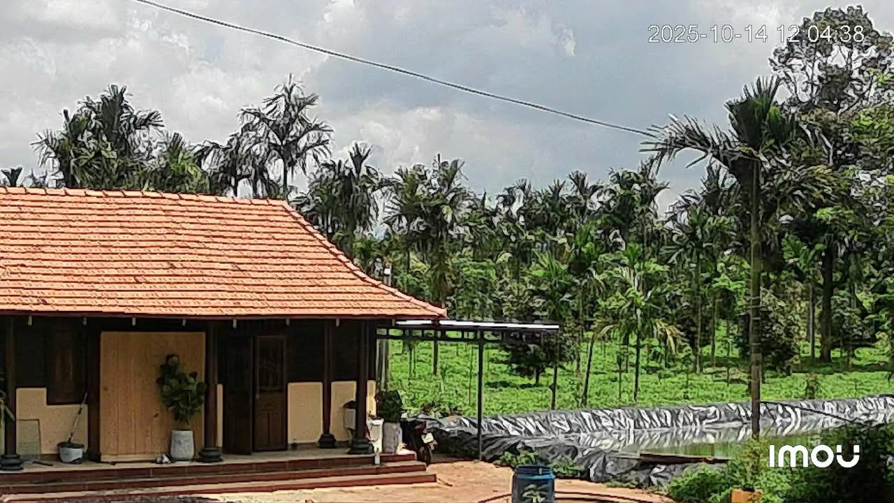 Đất Farm Cư Suê 1ha giá 8 tỷ - Tiềm năng đầu tư lớn!