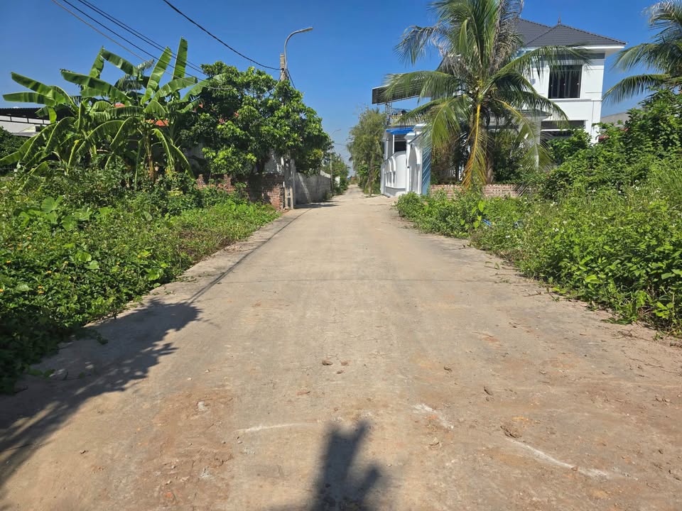 Đất nền Tân Hợp Dương Kinh 78.5m² giá 1 tỷ - Vị trí cực kỳ tiện lợi!