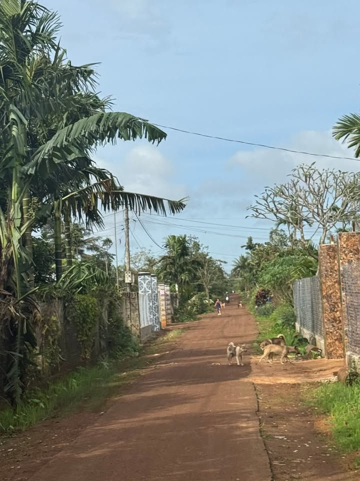 Đất thổ cư 175m² tại Ea Knuếc, Krông Pắc - Giá tốt cho nhà đầu tư!