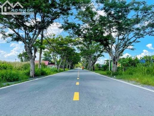 Đất mặt tiền Ngô Quang Thắm 4000m² giá 60 tỷ - Cơ hội đầu tư sinh lời!