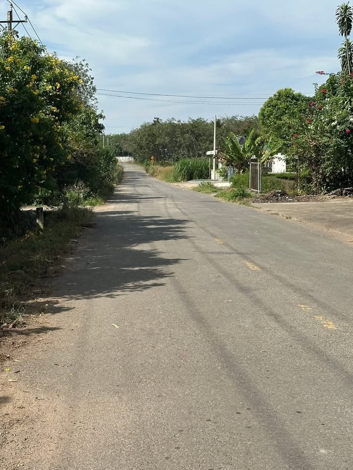 Đất nền An Linh, Phú Giáo 450m² giá 1.4 tỷ - Bán gấp chính chủ!